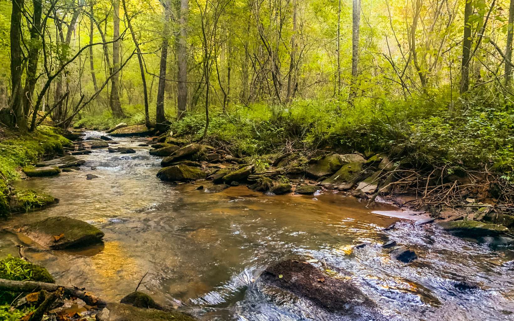 0 Hwy 282- 21.8ac