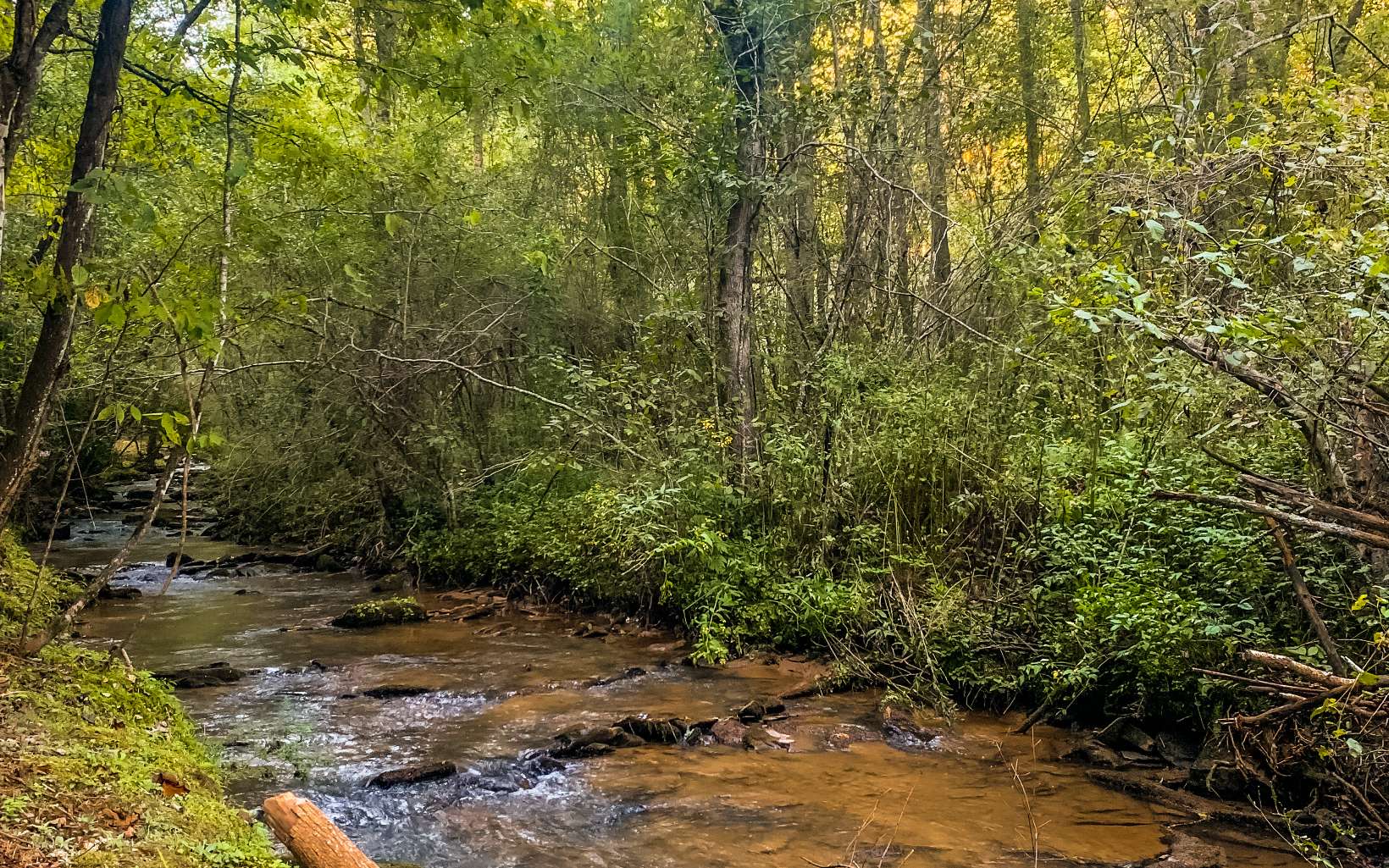 0 Hwy 282- 21.8ac