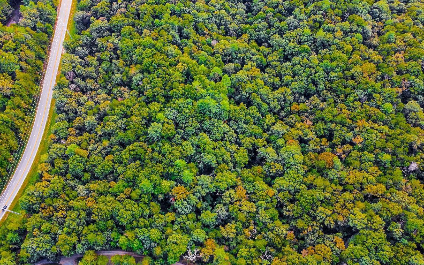 0 Hwy 282- 21.8ac