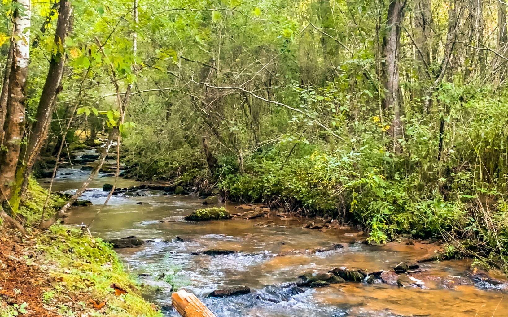 0 Hwy 282- 21.8ac