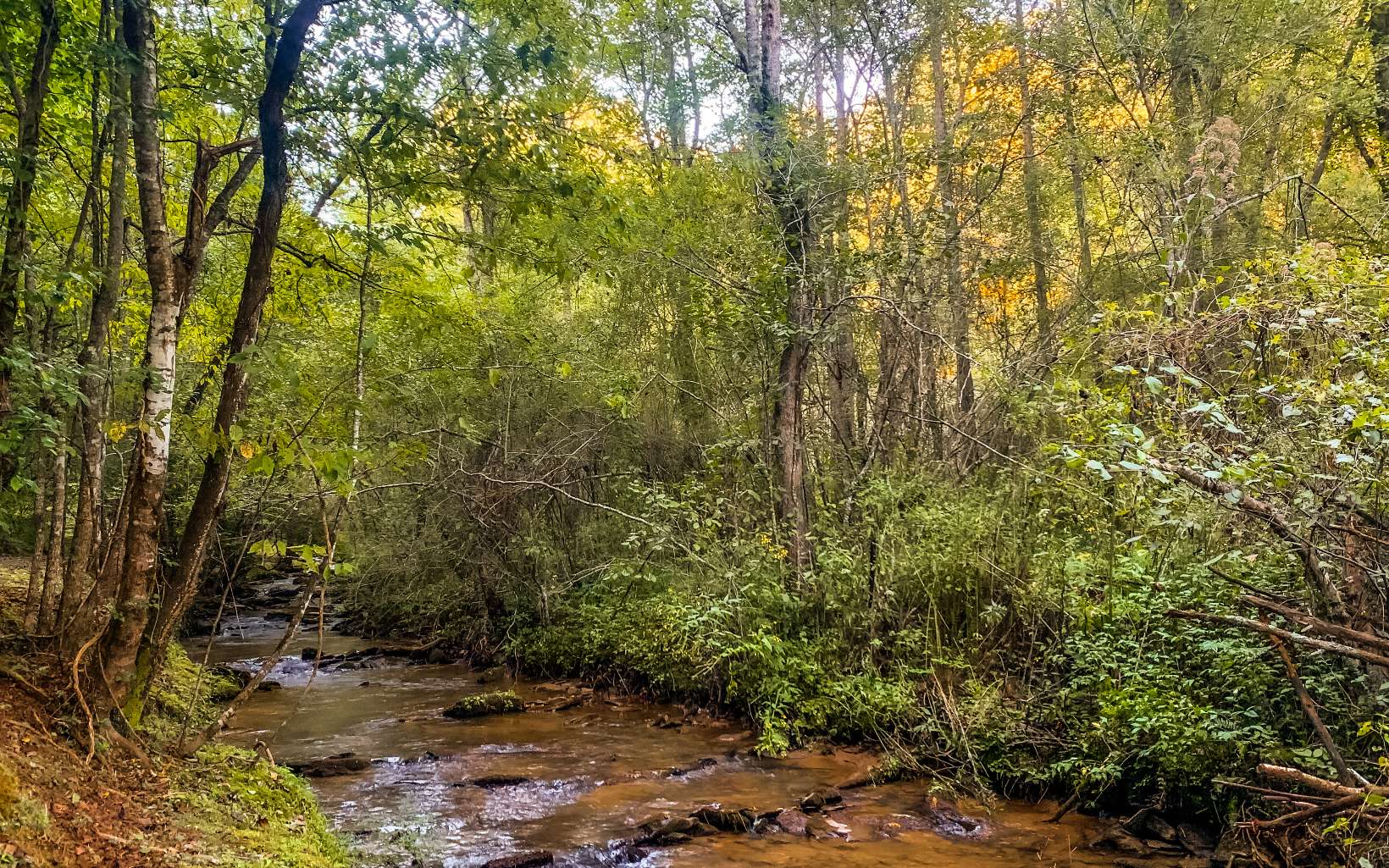 0 Hwy 282- 21.8ac