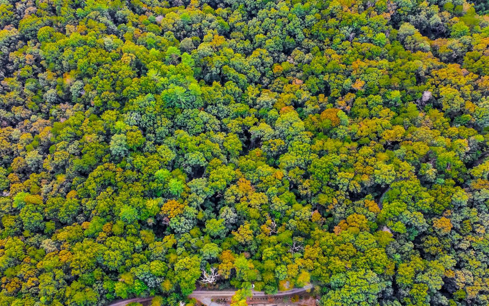 0 Hwy 282- 21.8ac