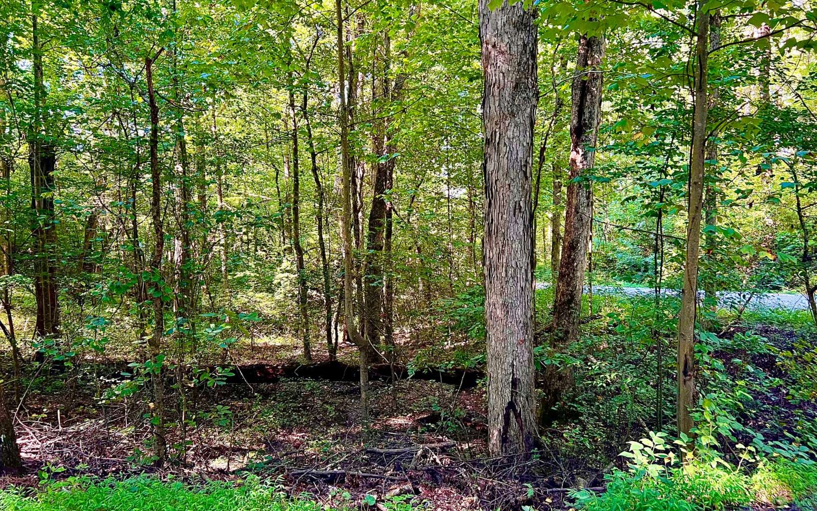 10 Walnut Ridge Lane