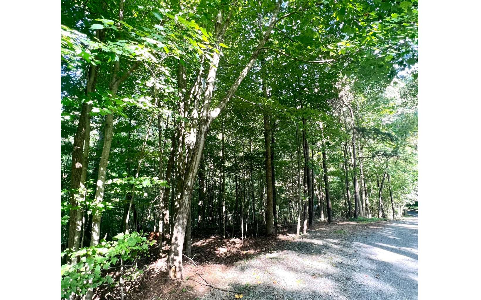 10 Walnut Ridge Lane