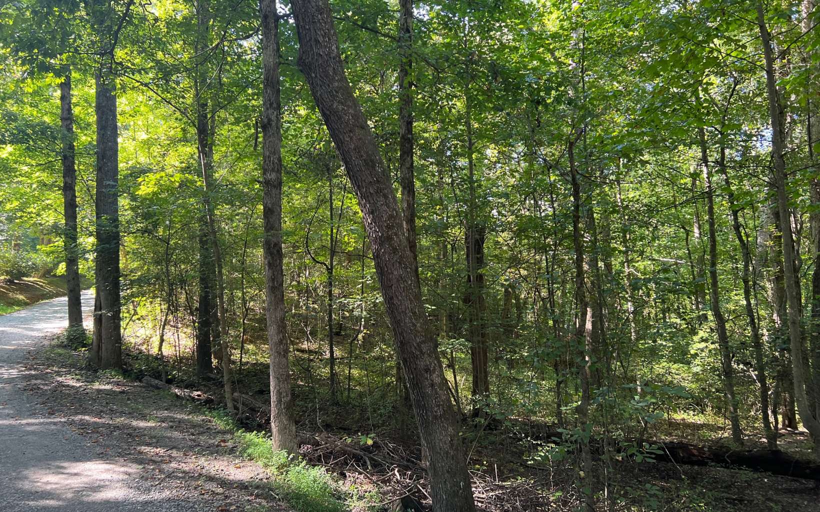 10 Walnut Ridge Lane