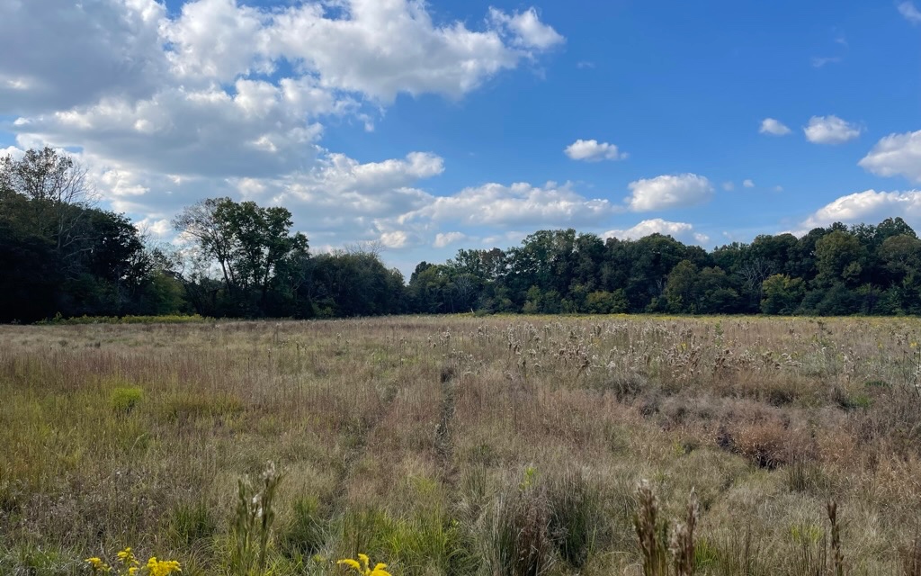 35 AC Taylortown Road