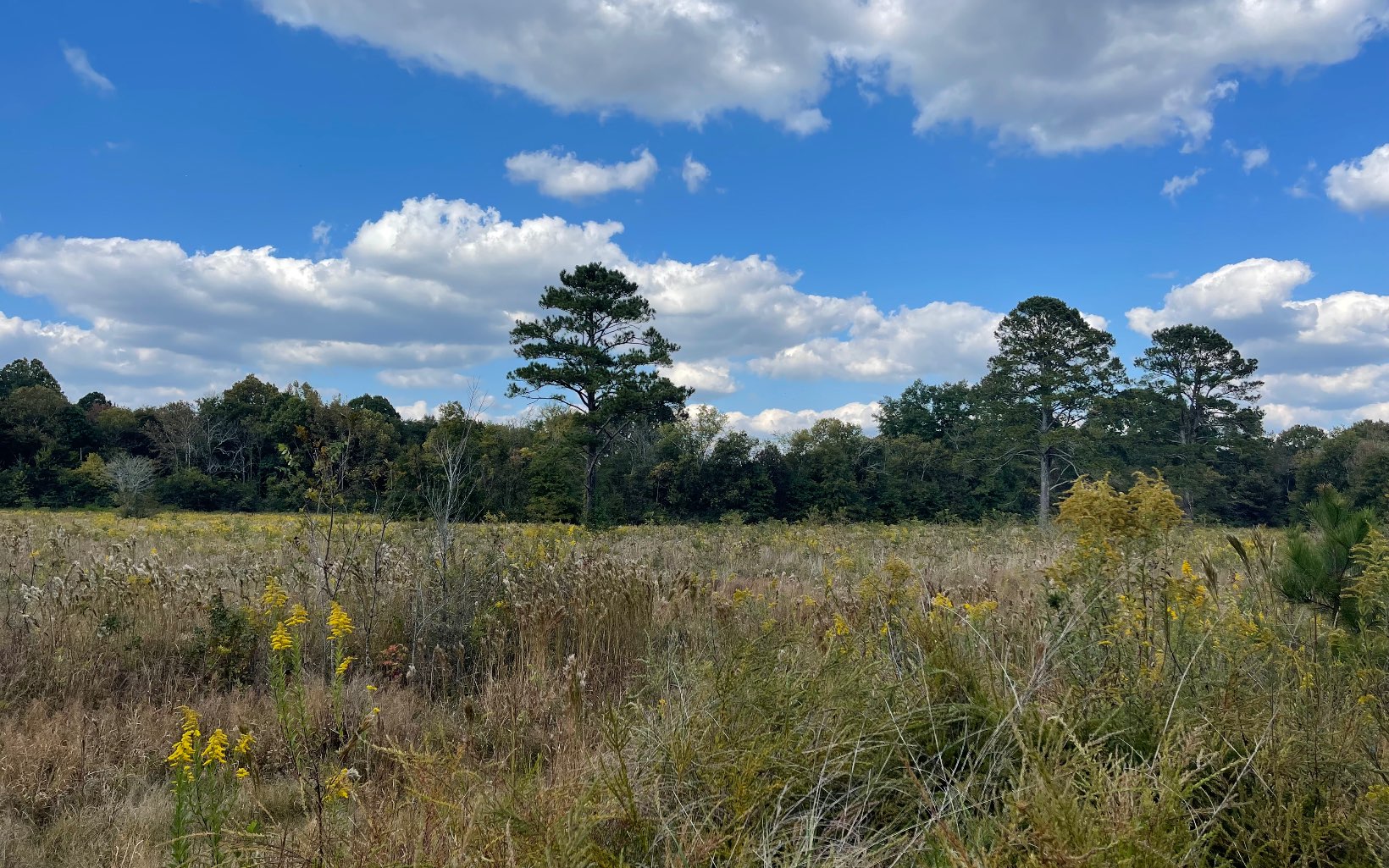 35 AC Taylortown Road