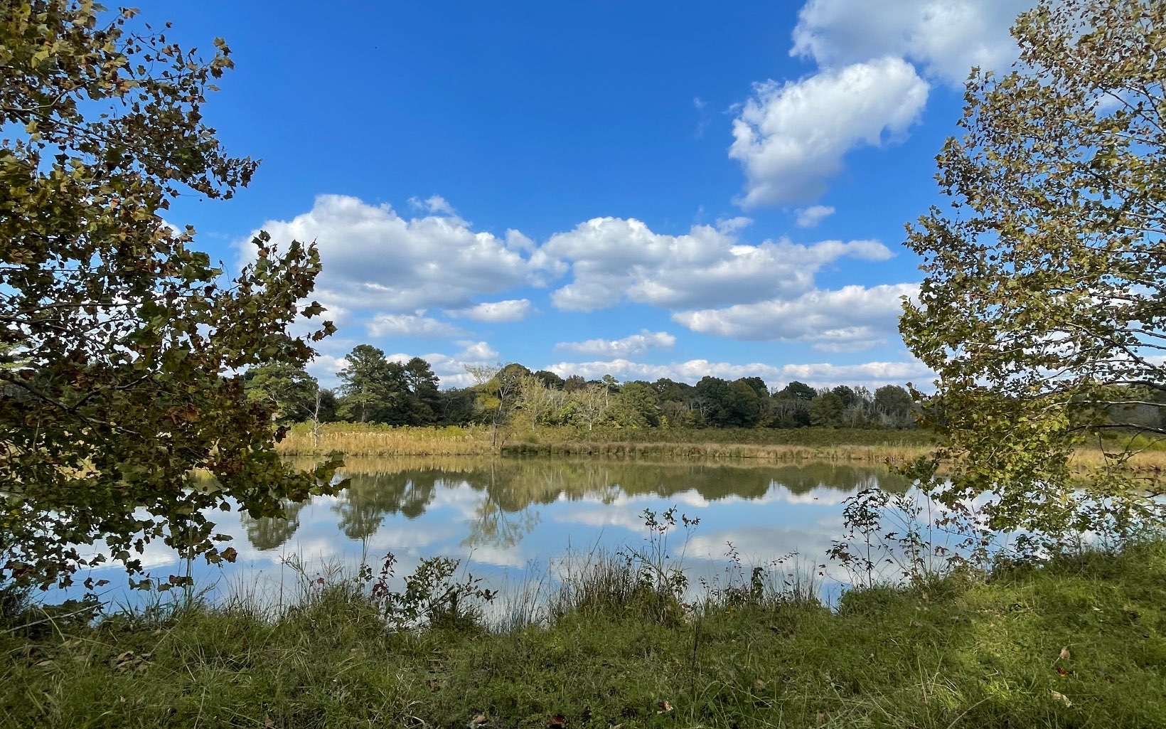 35 AC Taylortown Road