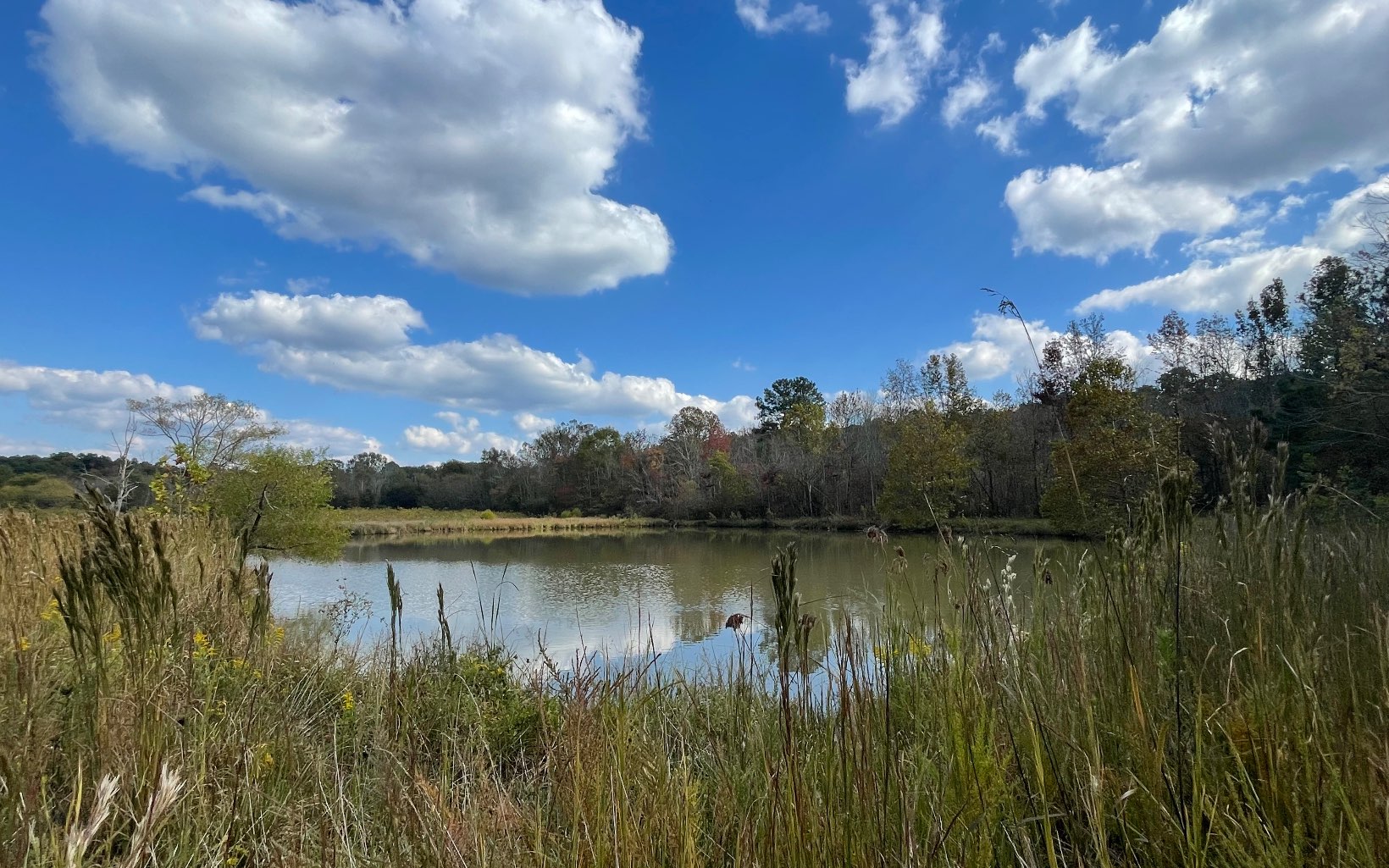 35 AC Taylortown Road