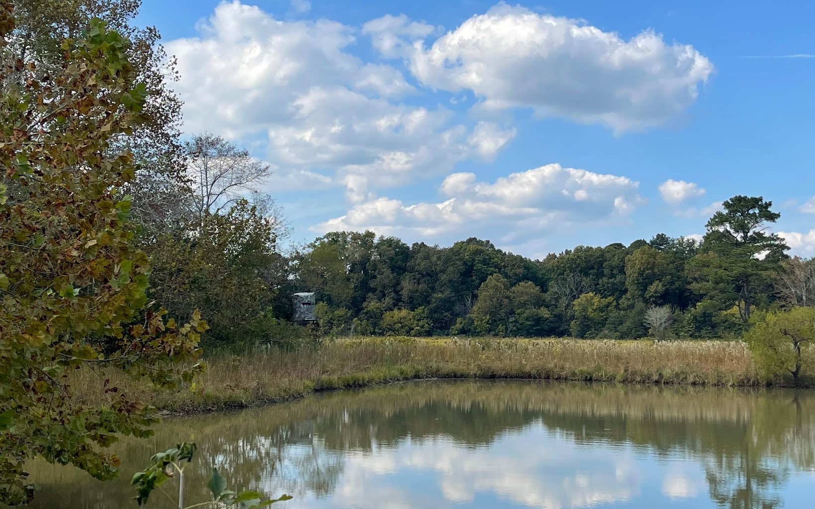 35 AC Taylortown Road
