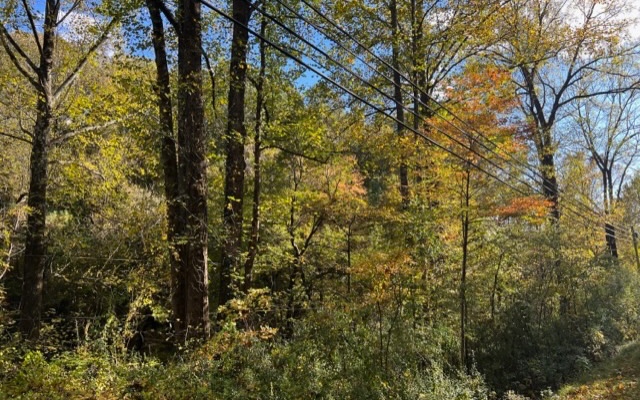 2+AC N Old Hwy 5