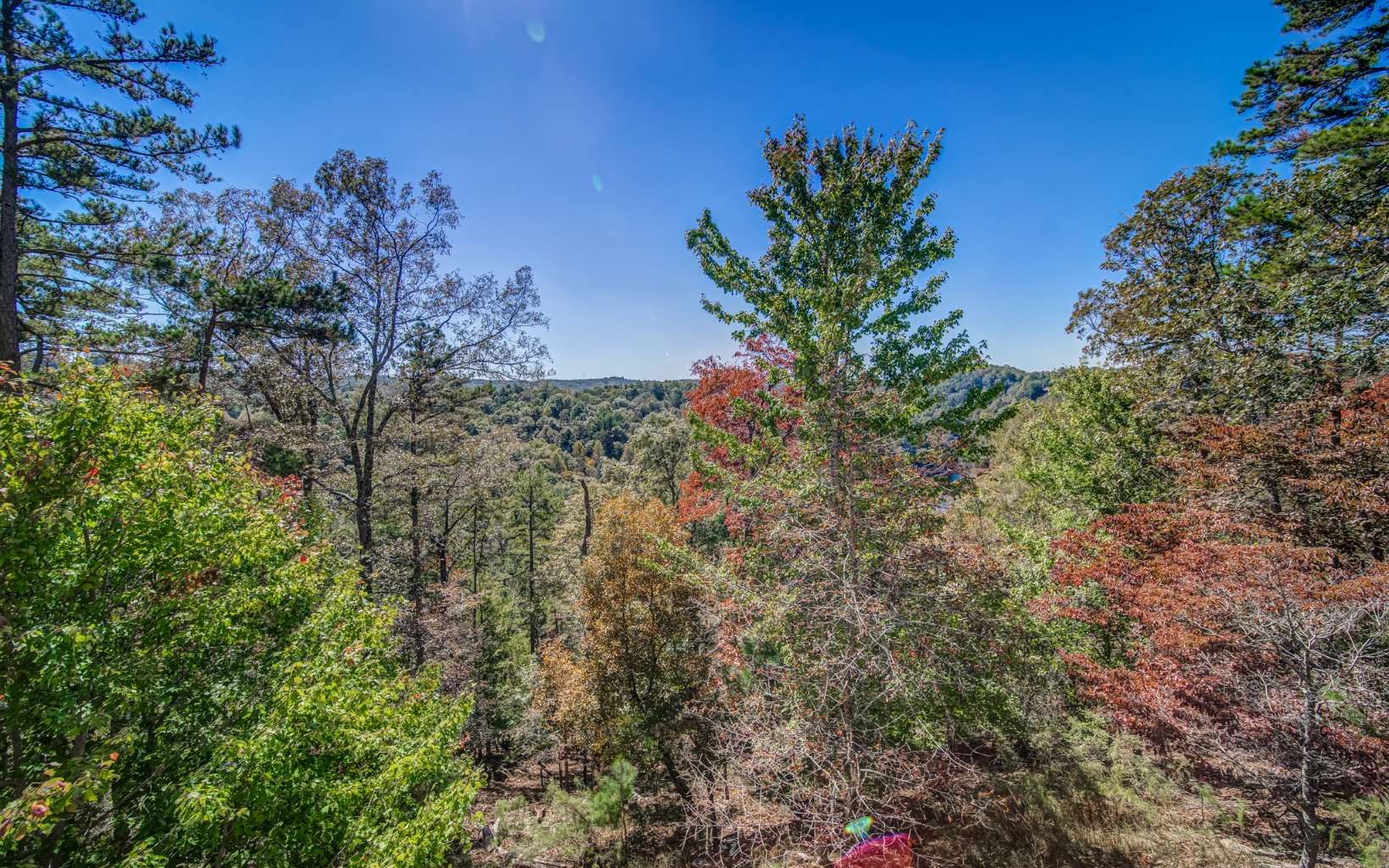 626 Palisade Drive
