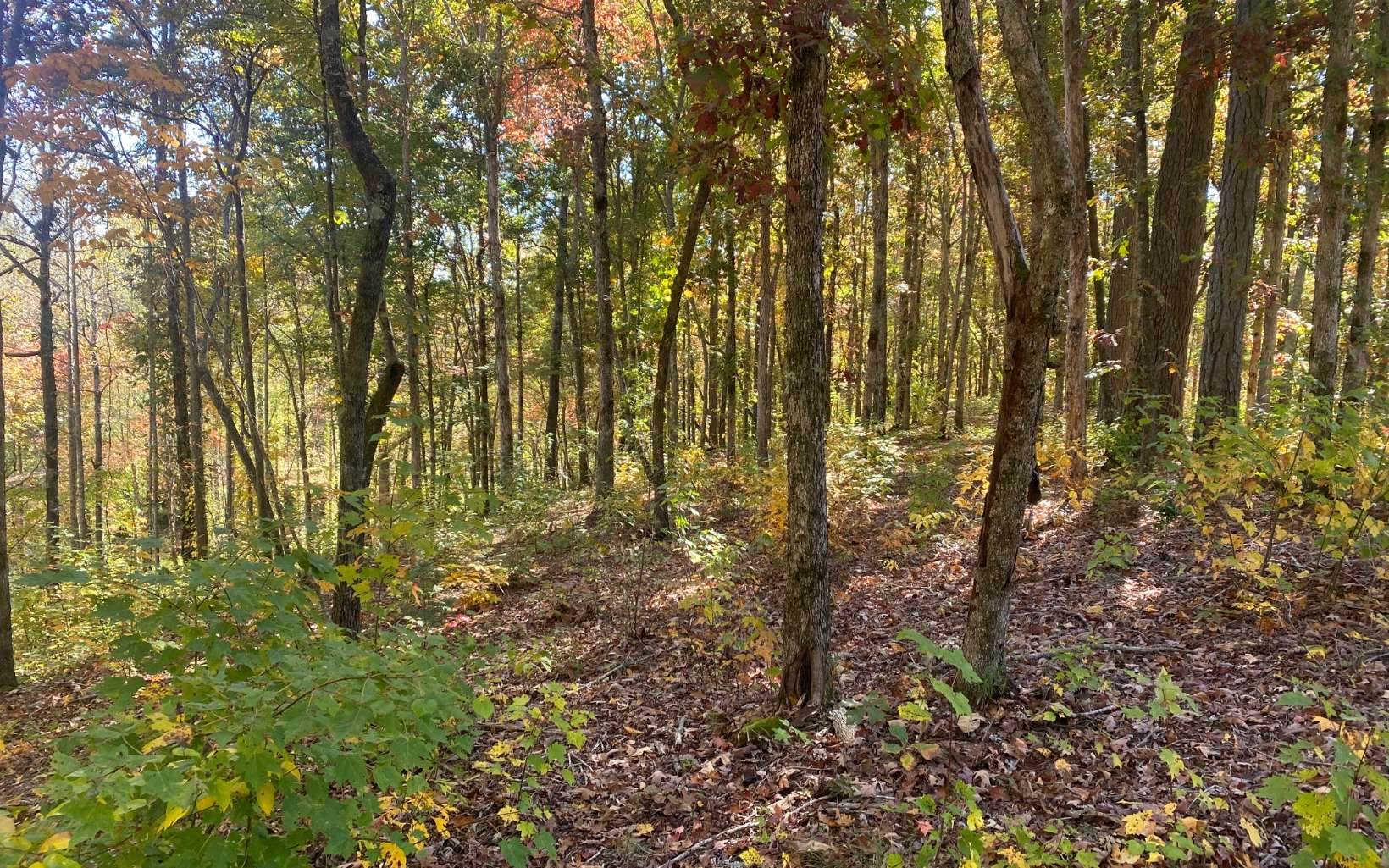 Lot 179r Overlook Dr