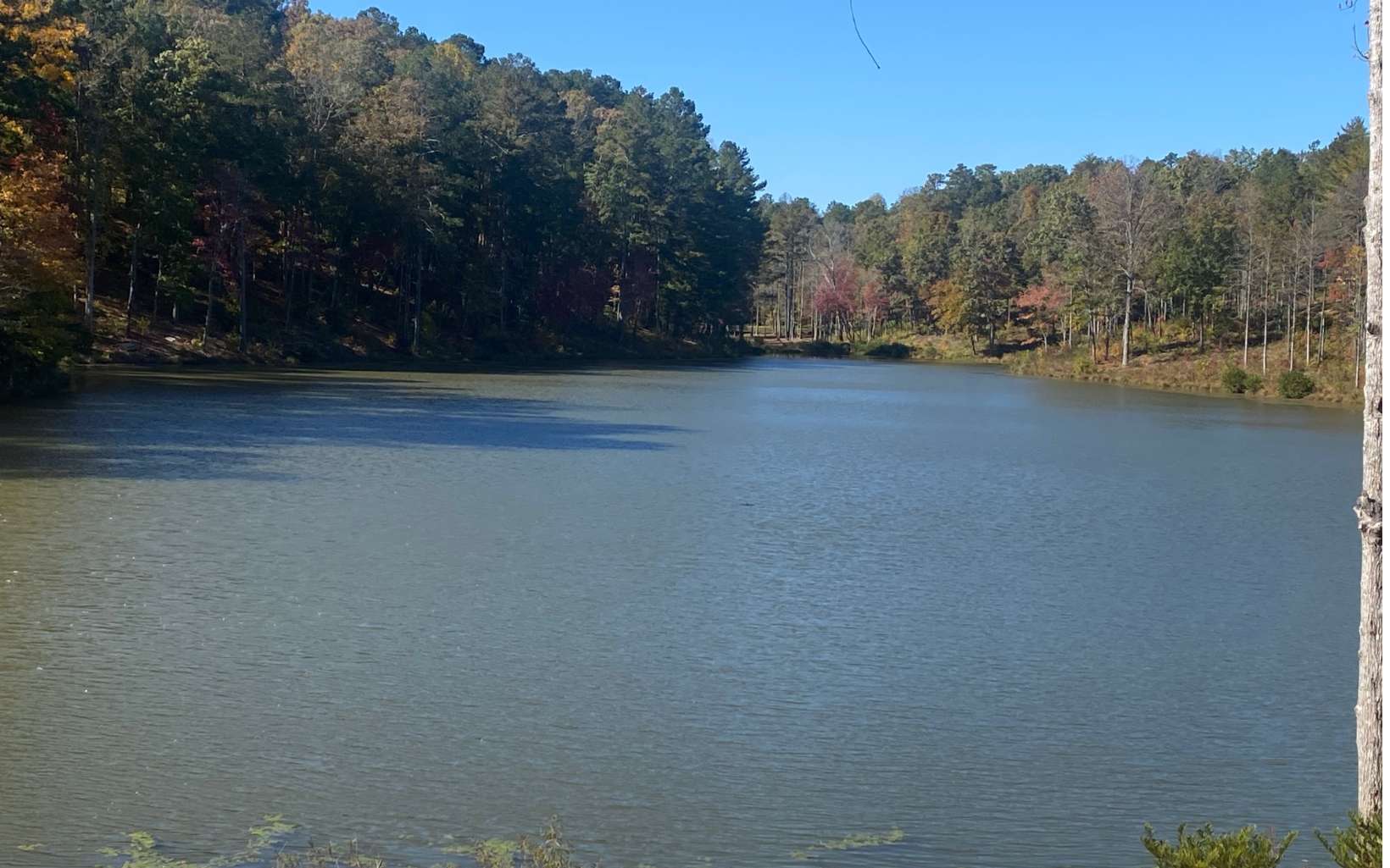 Lot 179r Overlook Dr