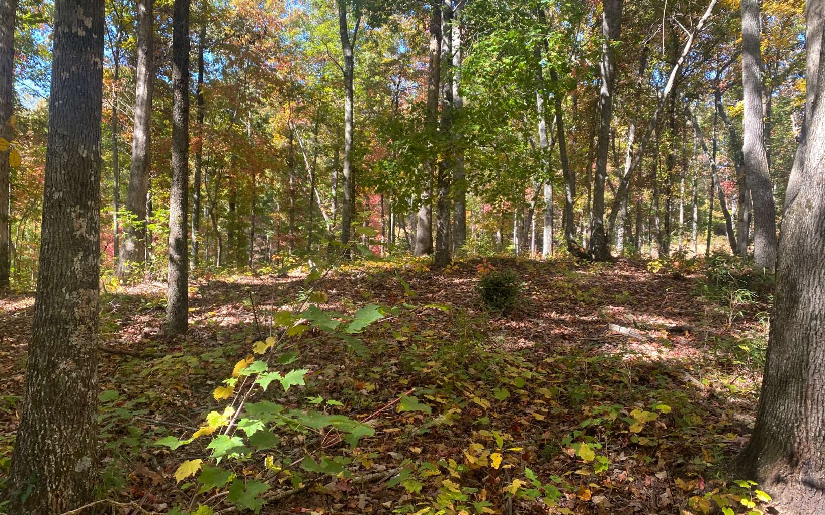 Lot 179r Overlook Dr