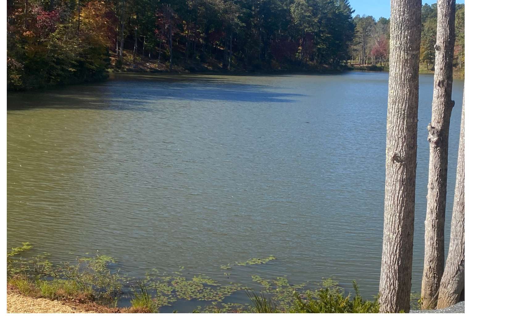 Lot 179r Overlook Dr