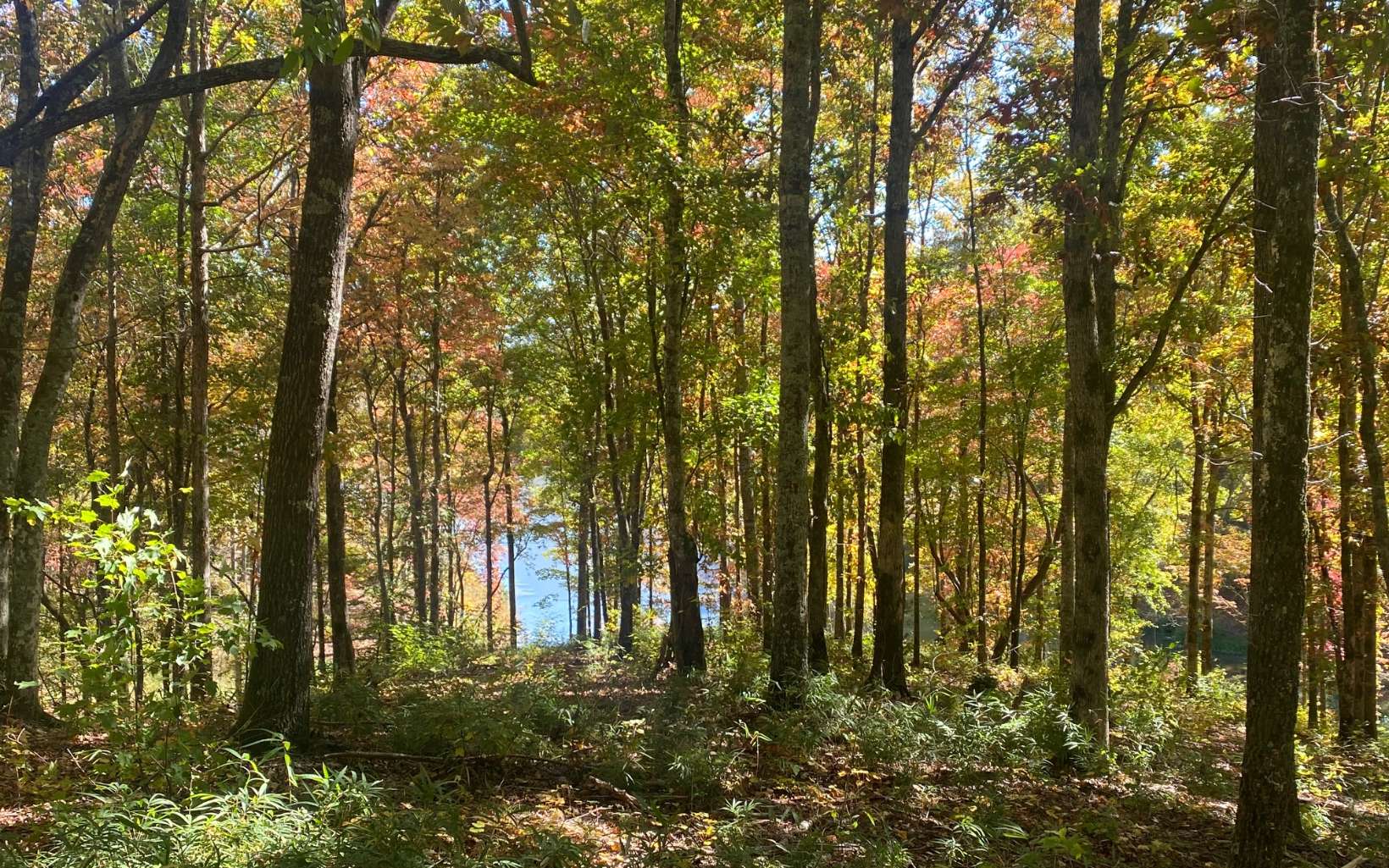 Lot 179r Overlook Dr