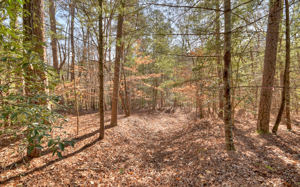LT 11 W Goldmine Road