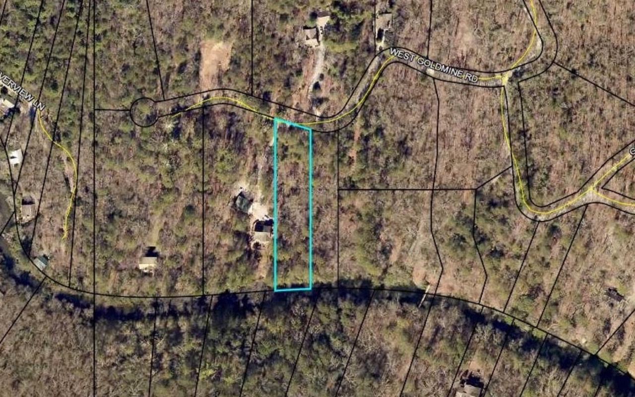 LT 11 W Goldmine Road