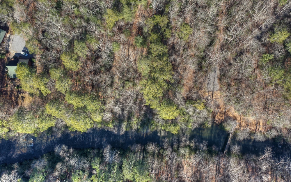 LT 11 W Goldmine Road
