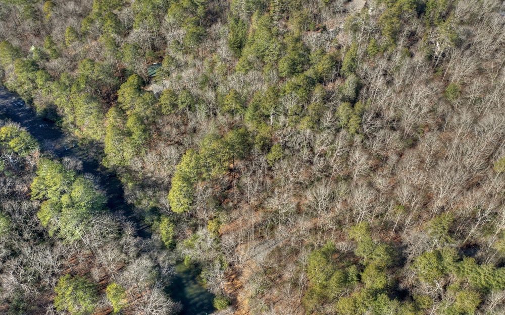 LT 11 W Goldmine Road