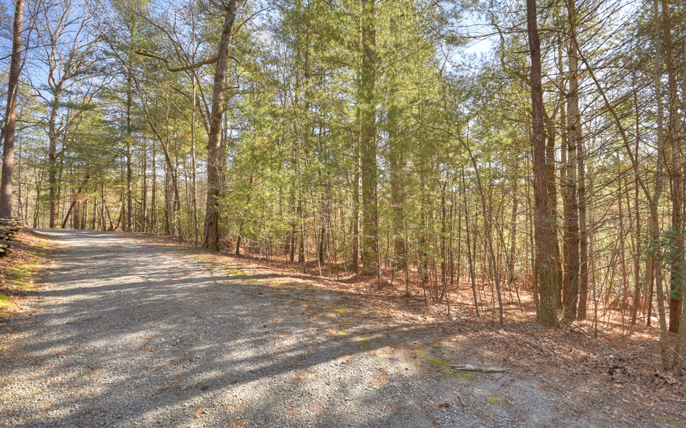 LT 11 W Goldmine Road