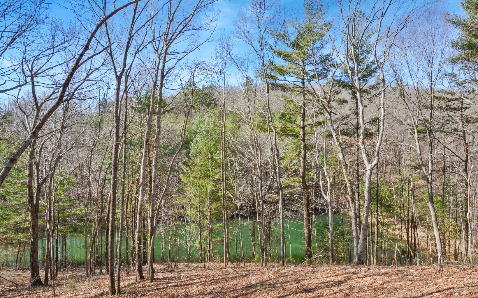 65 Cherokee Trail