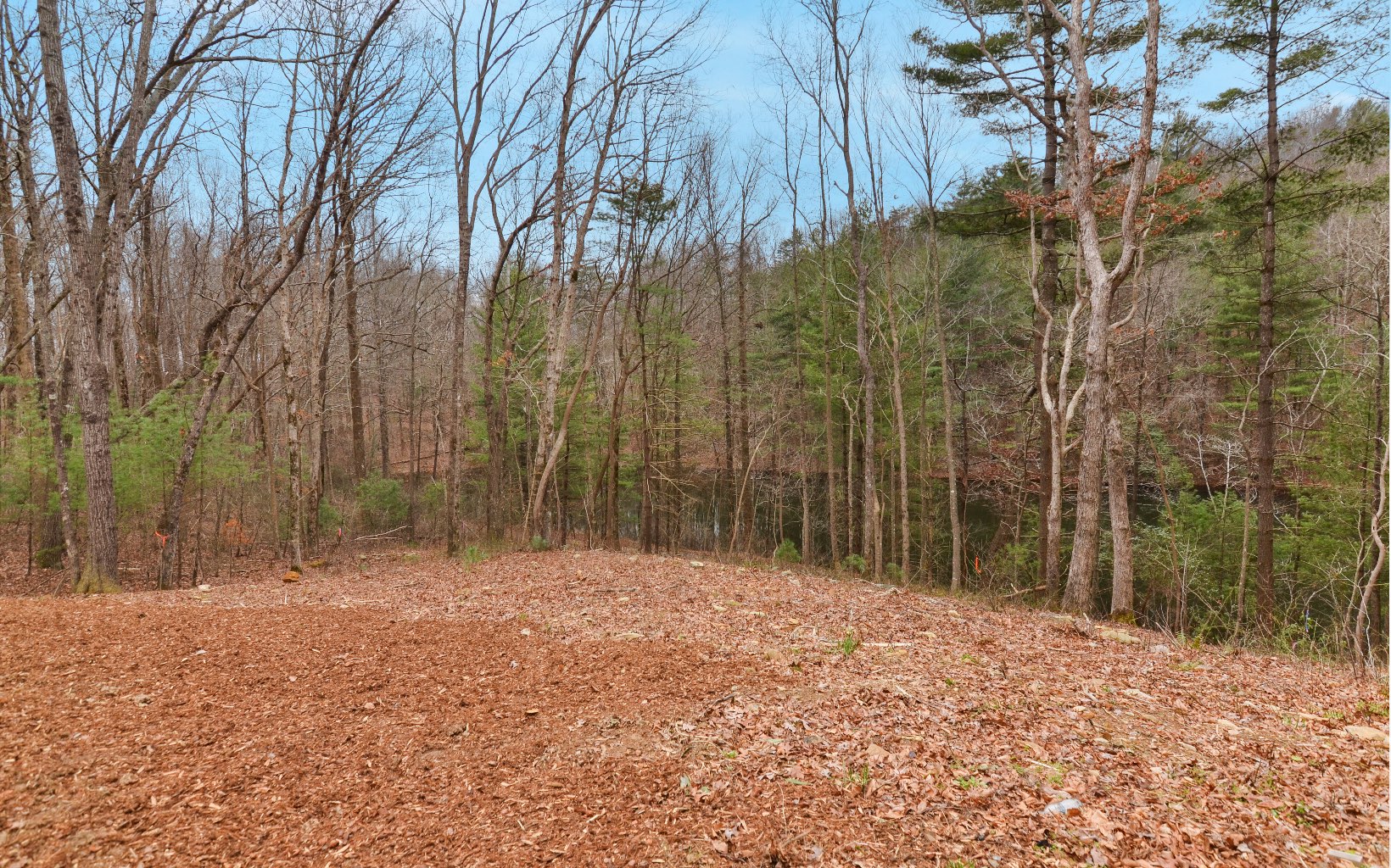 65 Cherokee Trail