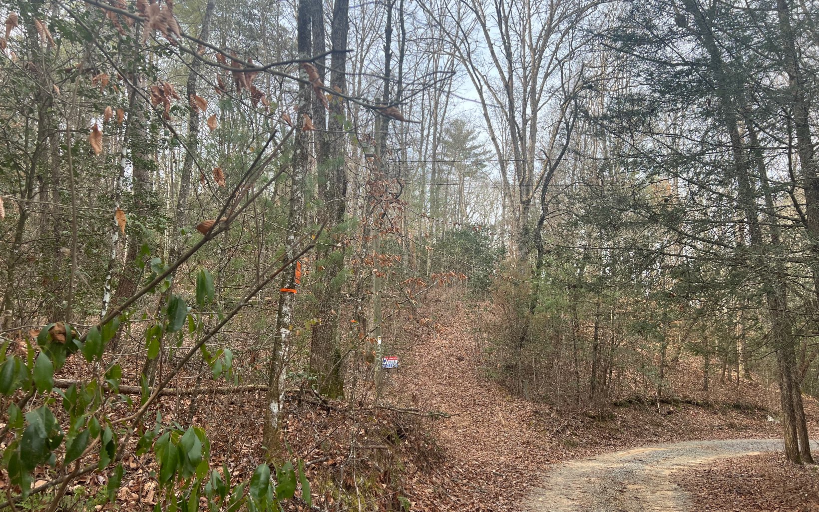 3.11 White Pine Way