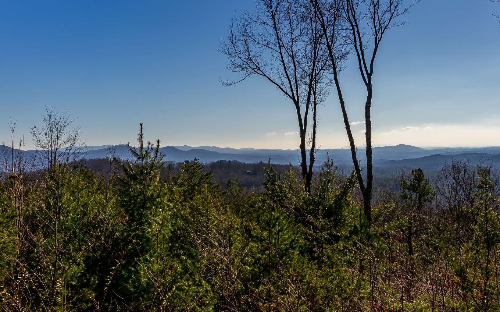 525 Amy Creek Trail