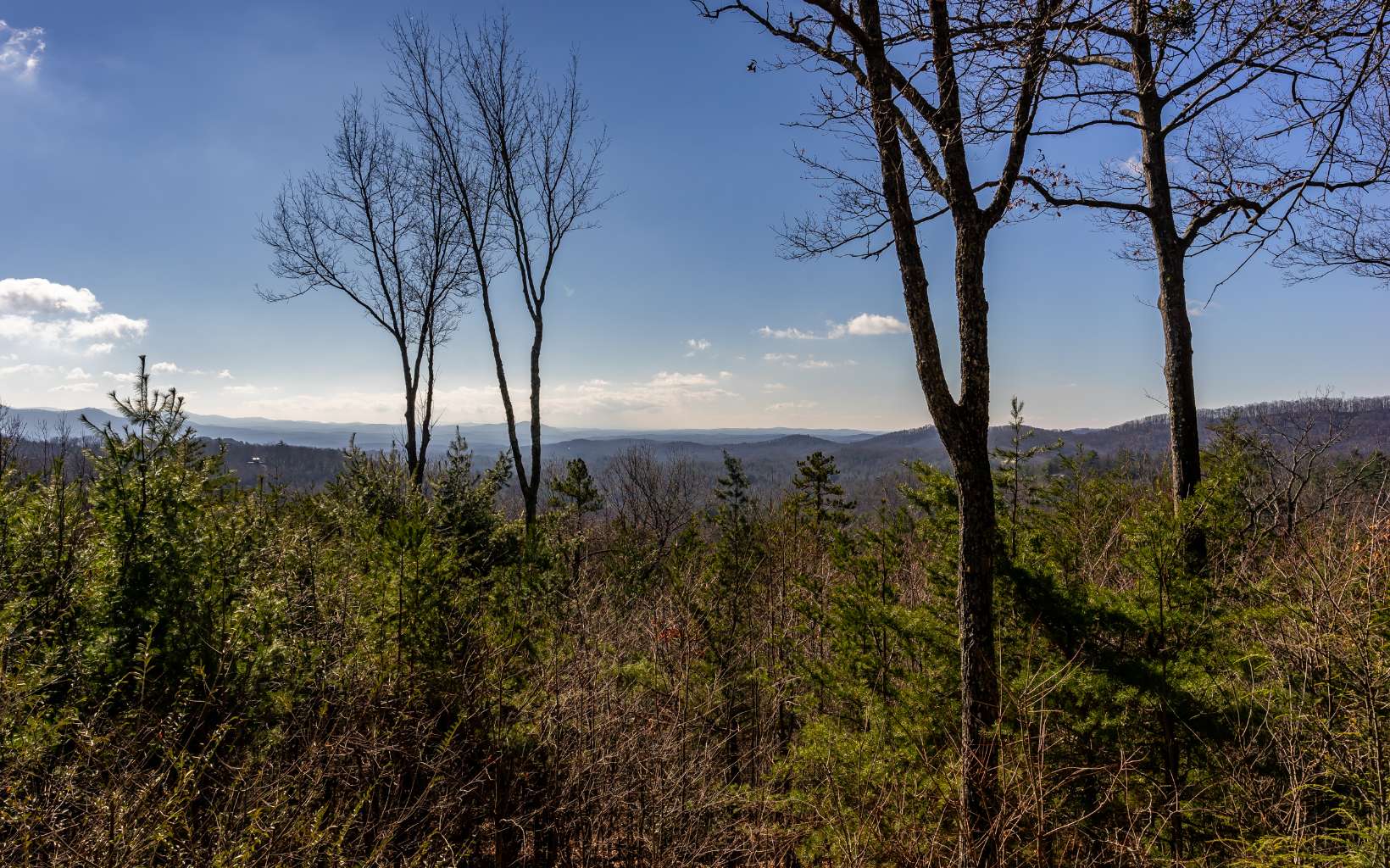 525 Amy Creek Trail