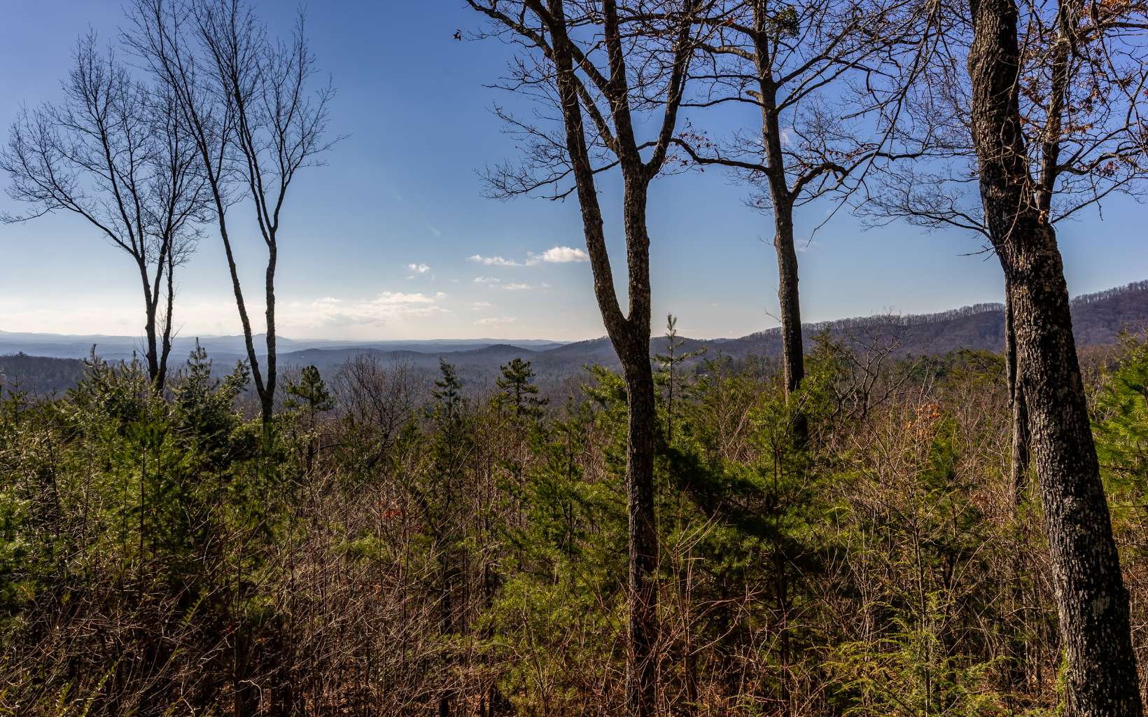 525 Amy Creek Trail