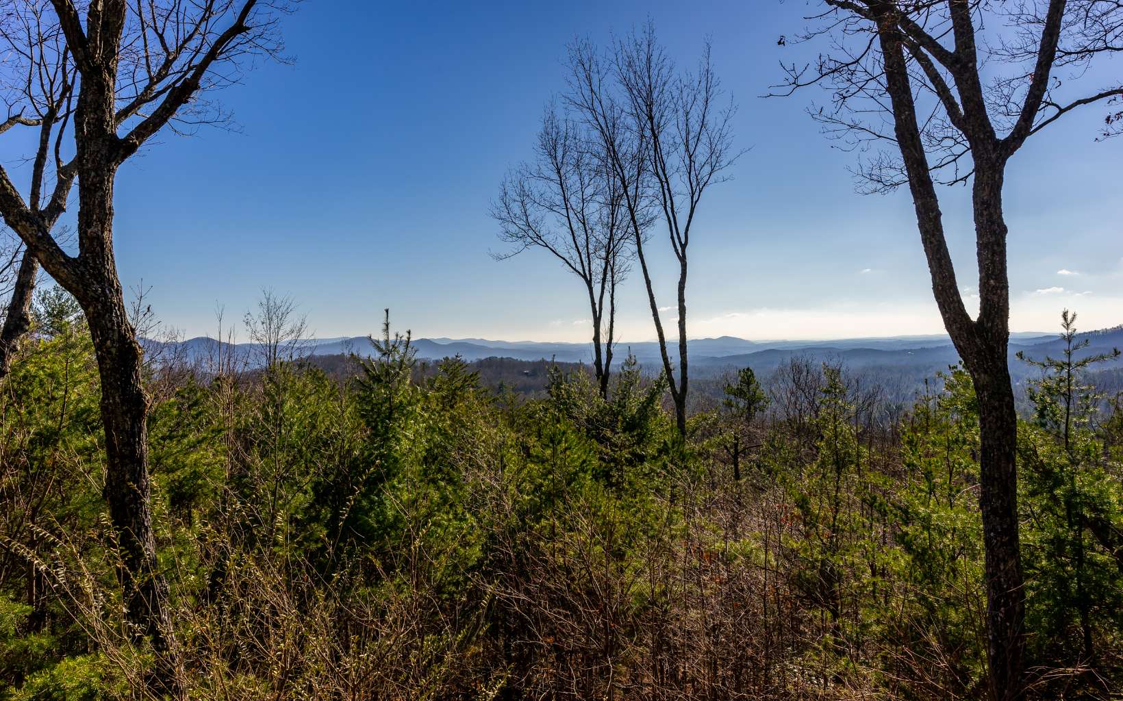 525 Amy Creek Trail