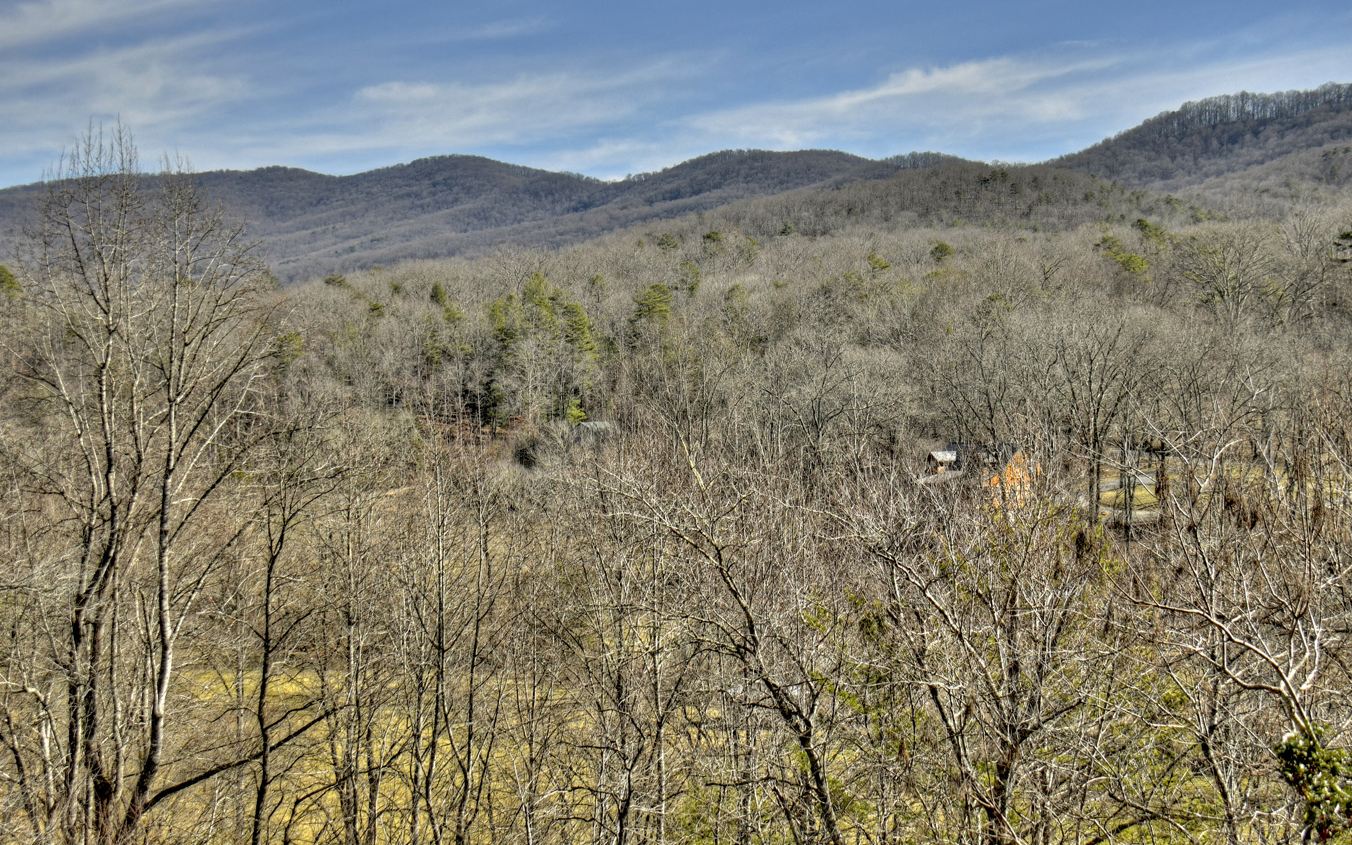 144 Squirrel Hunting Road