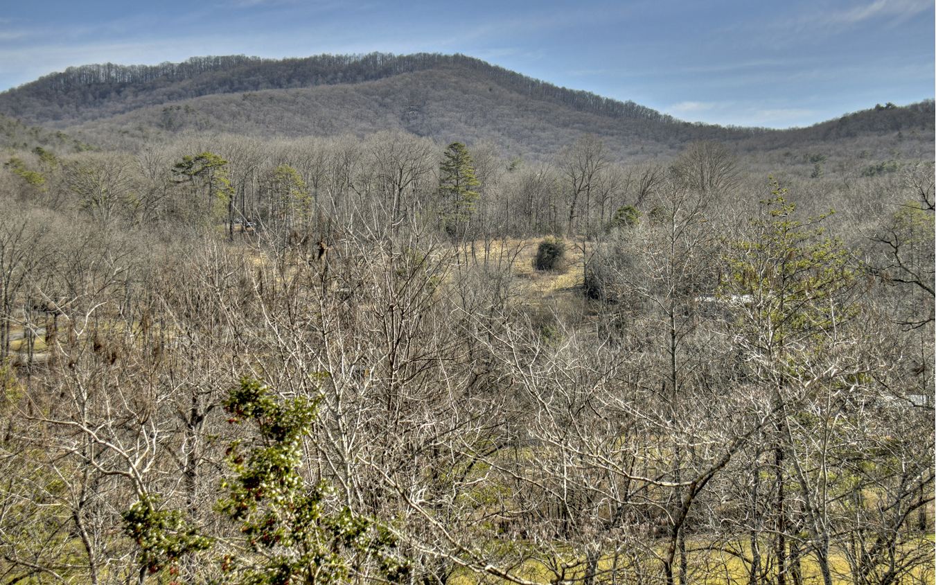 144 Squirrel Hunting Road