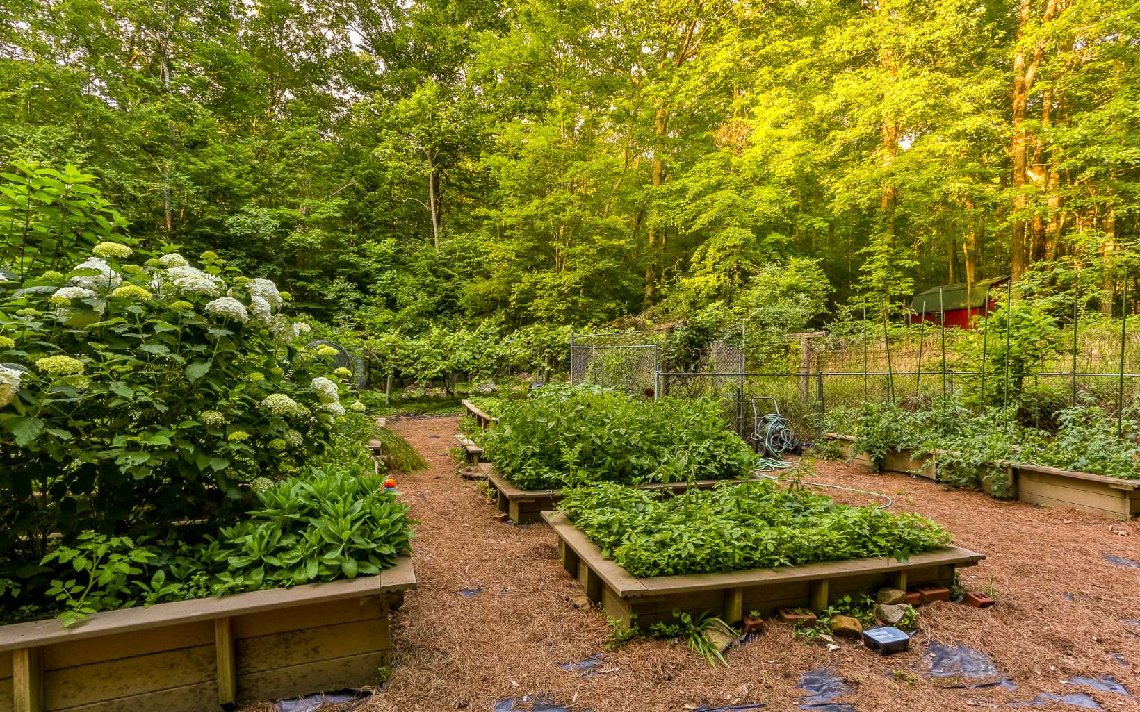 250 Peaceful Path