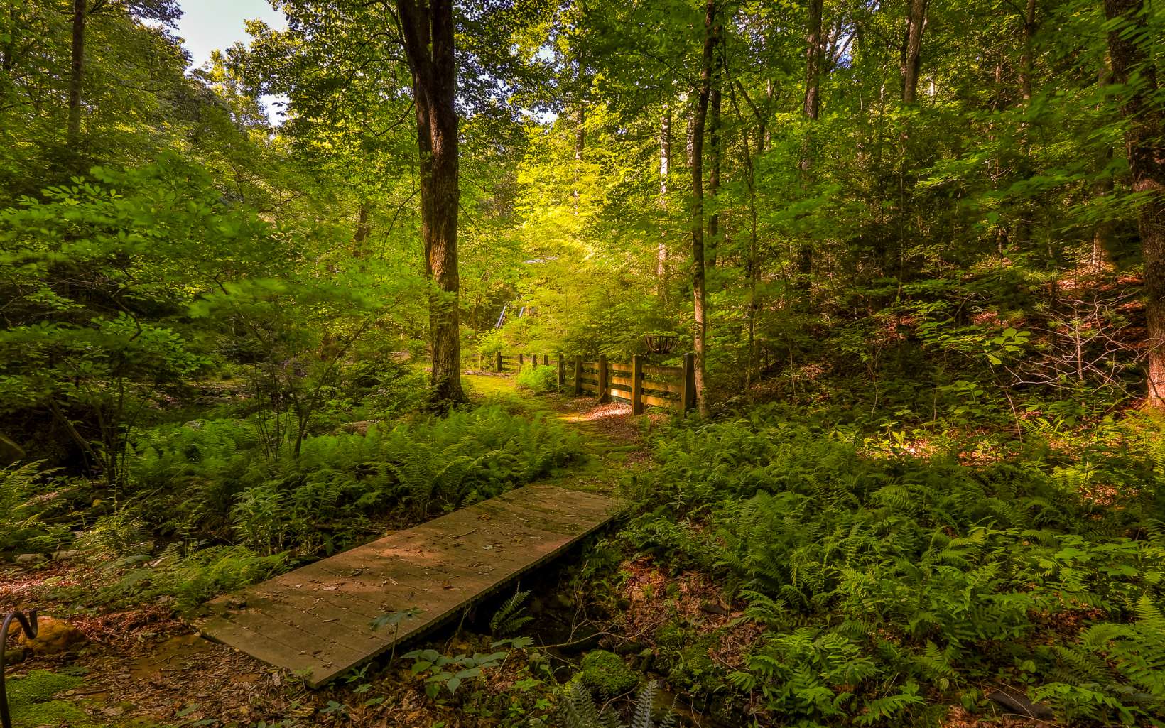250 Peaceful Path