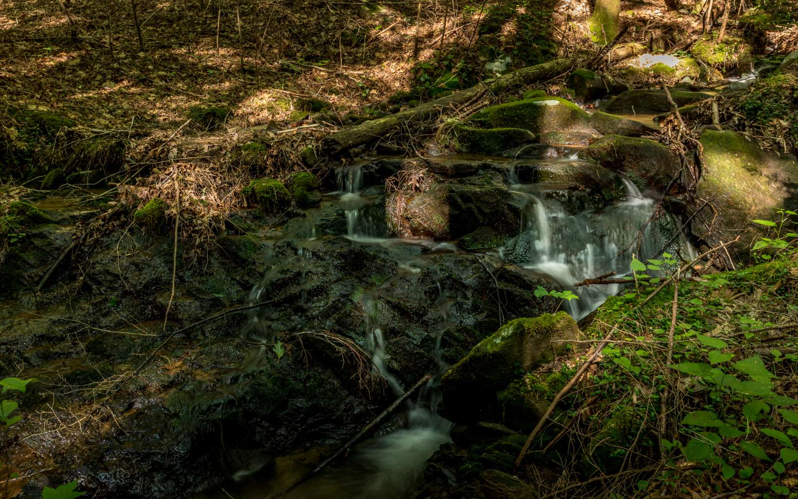 250 Peaceful Path