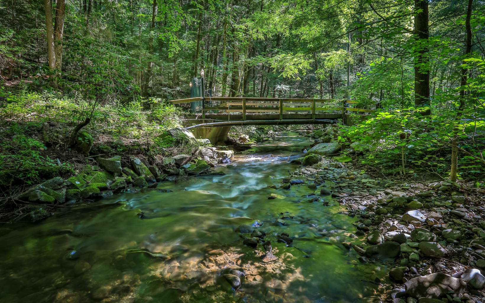 250 Peaceful Path