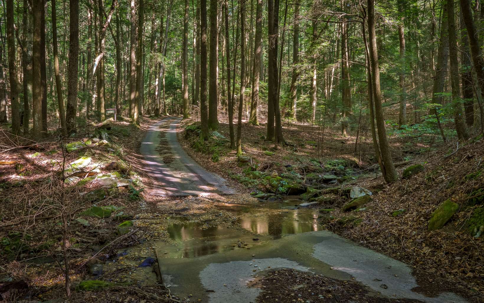 250 Peaceful Path