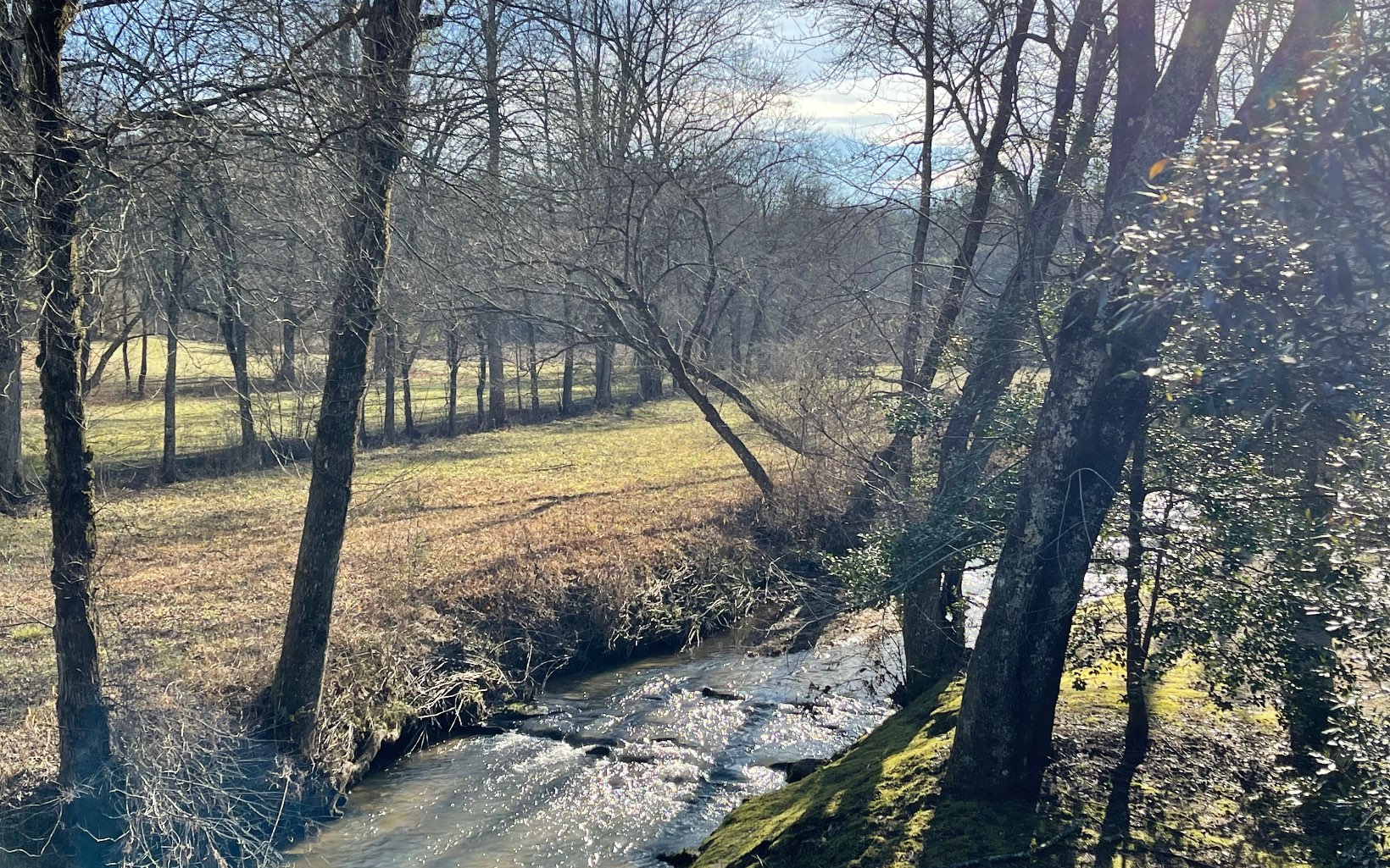 44 Tree Line Lane