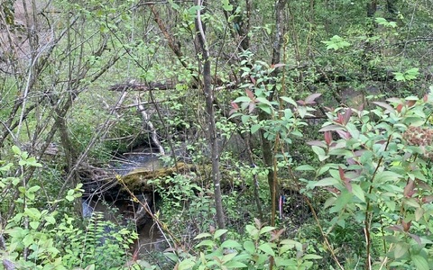 38+AC Ridgehaven Trail