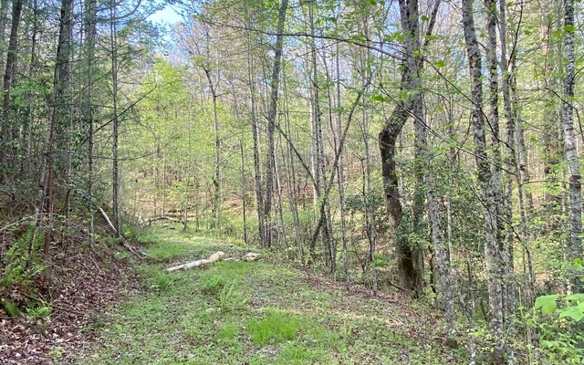 38+AC Ridgehaven Trail