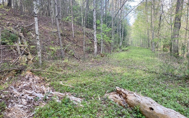 38+AC Ridgehaven Trail