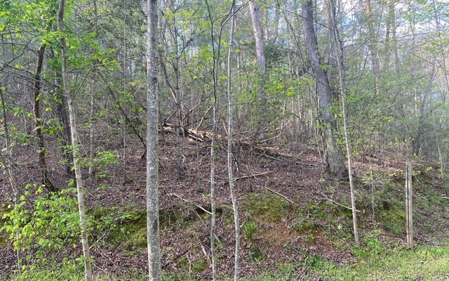 38+AC Ridgehaven Trail