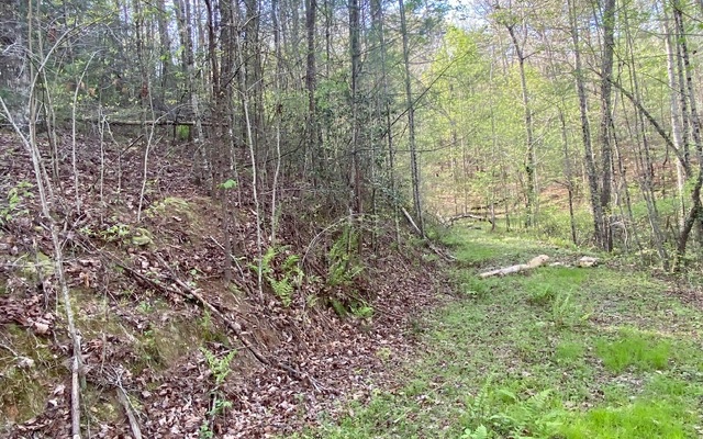 38+AC Ridgehaven Trail