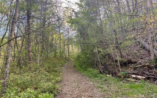 38+AC Ridgehaven Trail