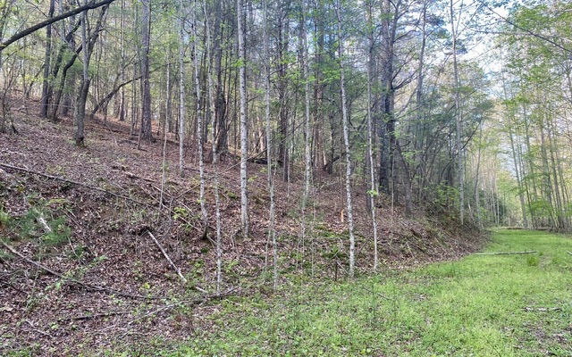 38+AC Ridgehaven Trail
