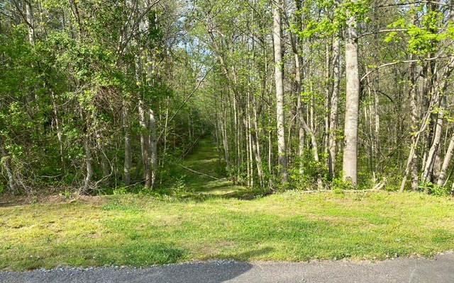 38+AC Ridgehaven Trail