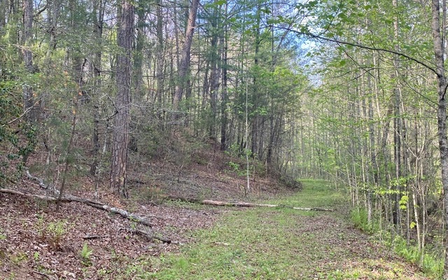 38+AC Ridgehaven Trail